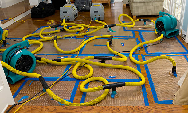 Professional Water Extraction technician working in Deer Park, TX